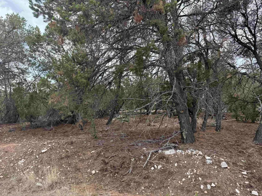 66 Mogollon Trl, High Rolls Mountain Park, NM 88325 - #3