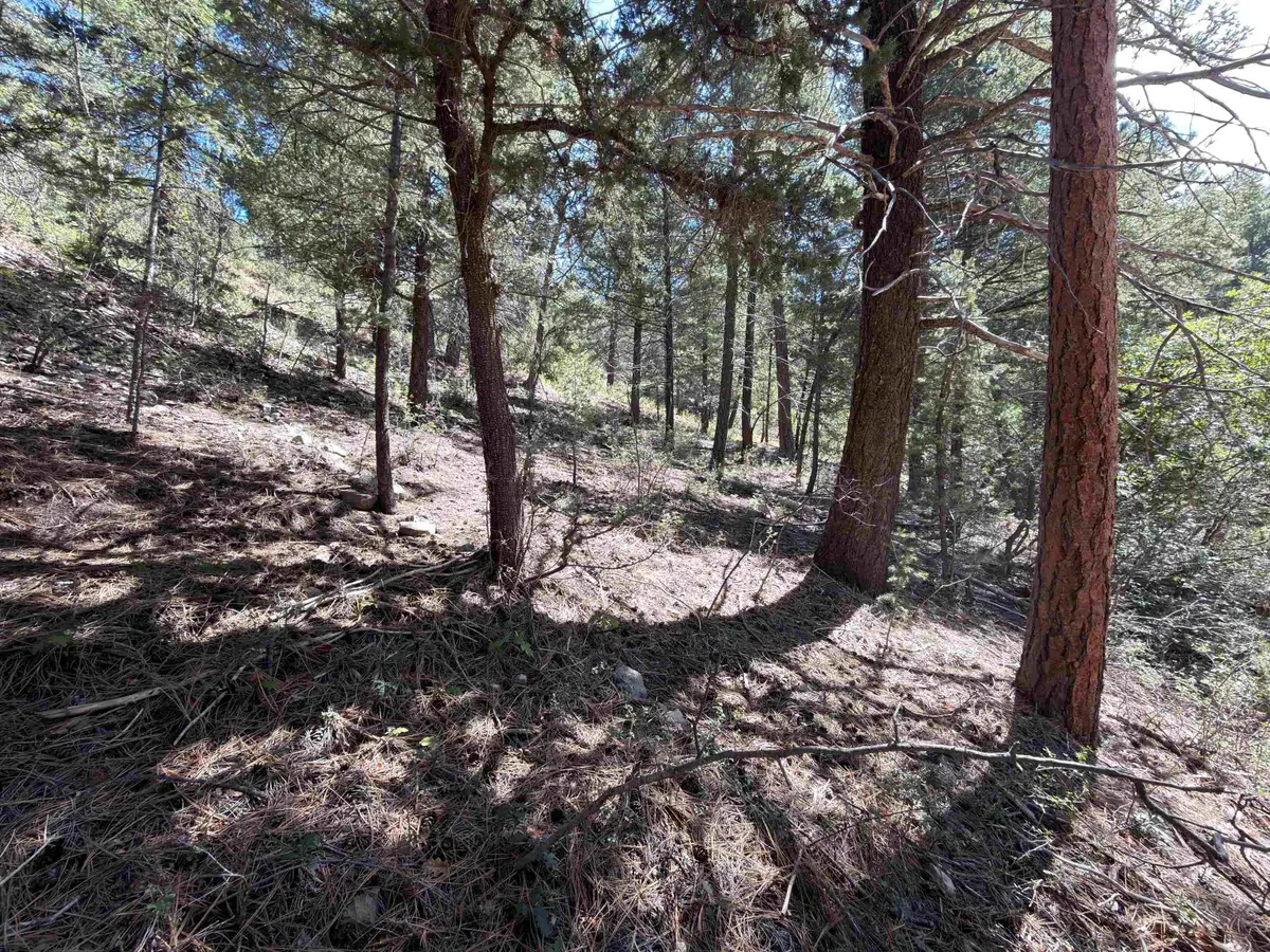 00 Watson Trl, Cloudcroft, NM 88317 - #1