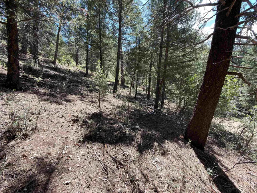 00 Watson Trl, Cloudcroft, NM 88317 - #2