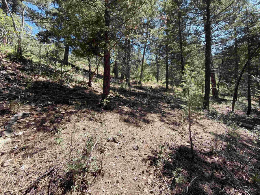 00 Watson Trl, Cloudcroft, NM 88317 - #3