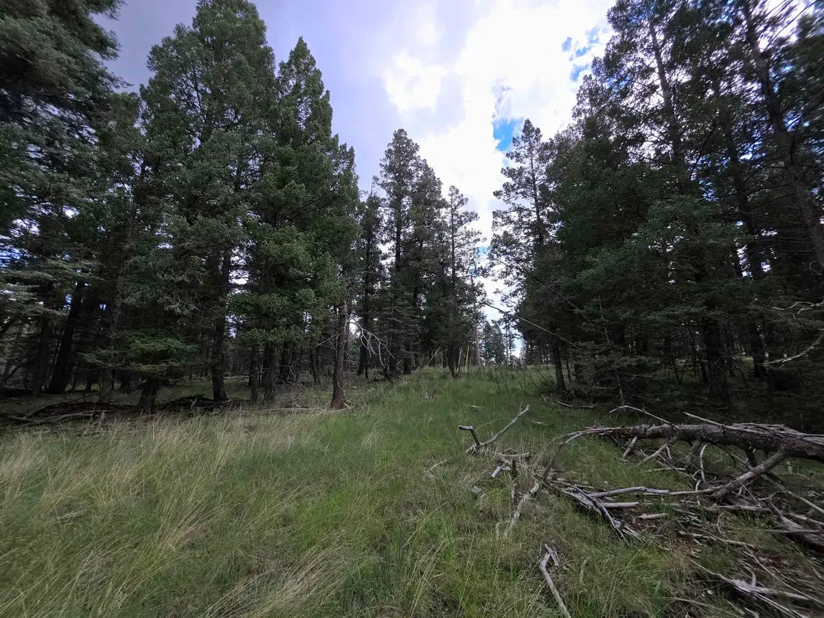Lot 58 Big Dipper RD, Cloudcroft, NM 88317 - #1
