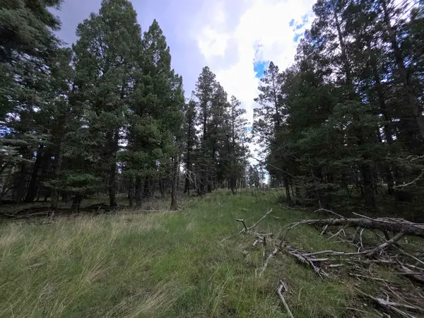 Lot 58 Big Dipper RD, Cloudcroft, NM 88317