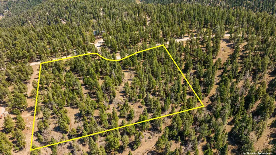 Lot 58 Big Dipper RD, Cloudcroft, NM 88317 - #2