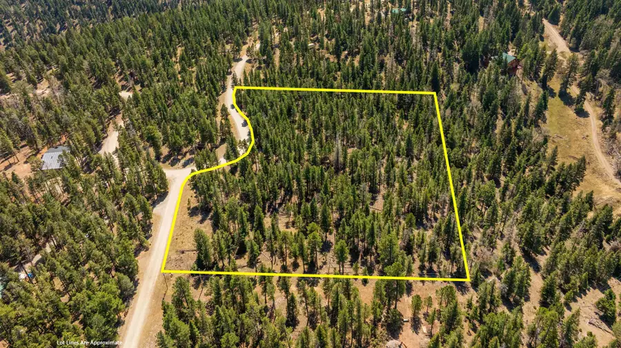 Lot 58 Big Dipper RD, Cloudcroft, NM 88317 - #3