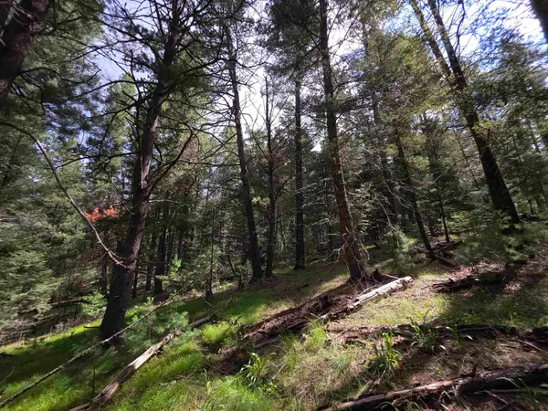 000 Retreat Rd, Cloudcroft, NM 88317