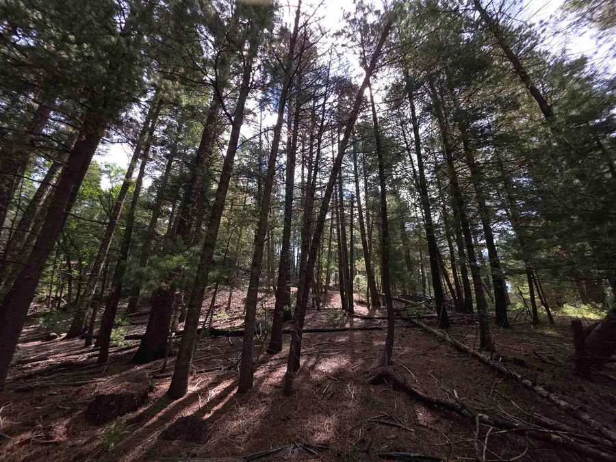 000 Retreat Rd, Cloudcroft, NM 88317 - #2