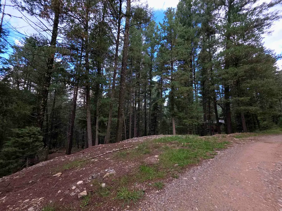 000 Retreat Rd, Cloudcroft, NM 88317 - #3