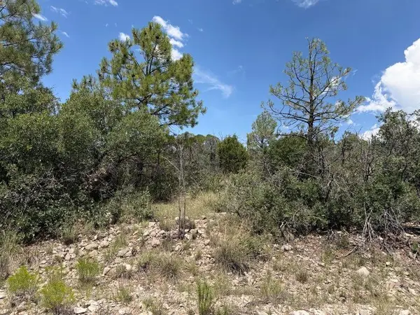 44 Sunol Valley Dr, Timberon, NM 88350
