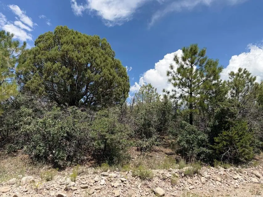 44 Sunol Valley Dr, Timberon, NM 88350 - #2