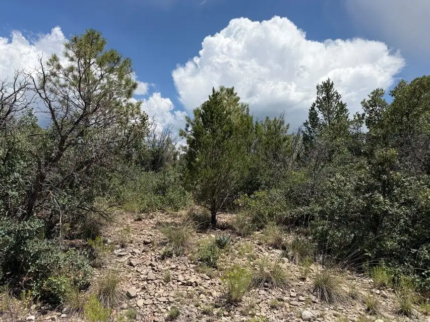 44 Sunol Valley Dr, Timberon, NM 88350 - #3