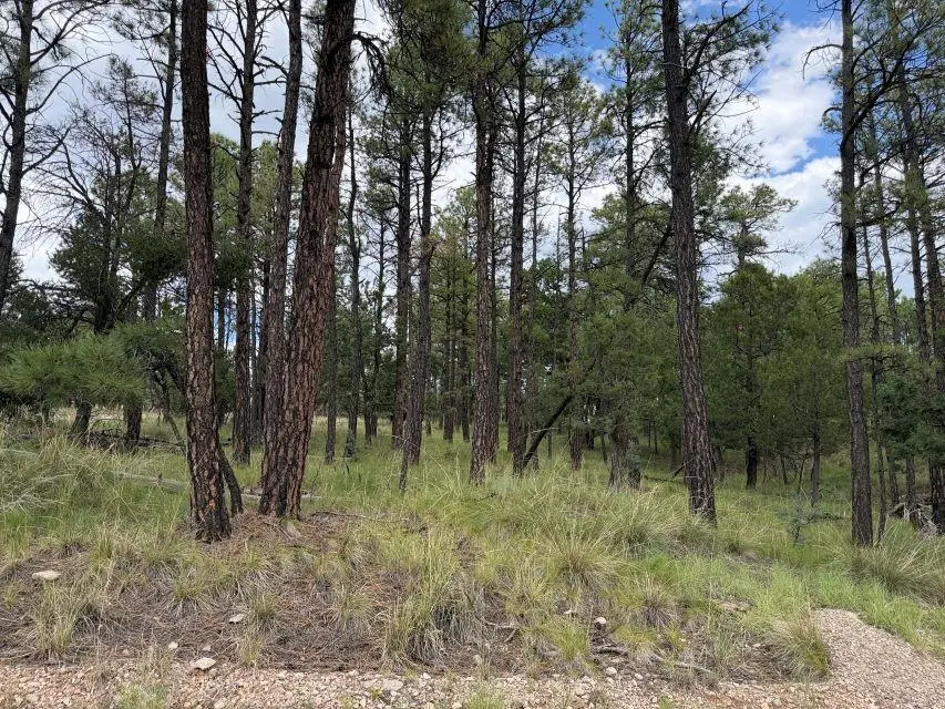 Gunnison Way, Timberon, NM 88350 - #1