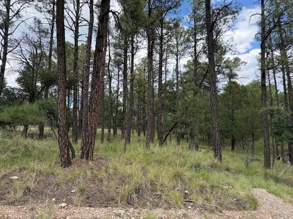 Gunnison Way, Timberon, NM 88350