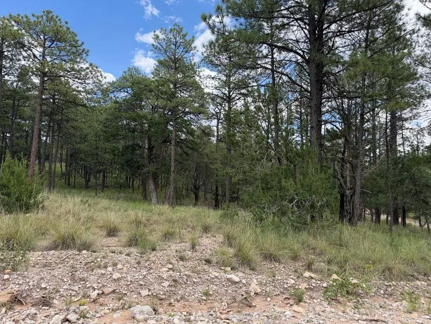 Gunnison Way, Timberon, NM 88350 - #2