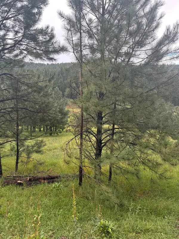 Trading Post Rd, Cloudcroft, NM 88317