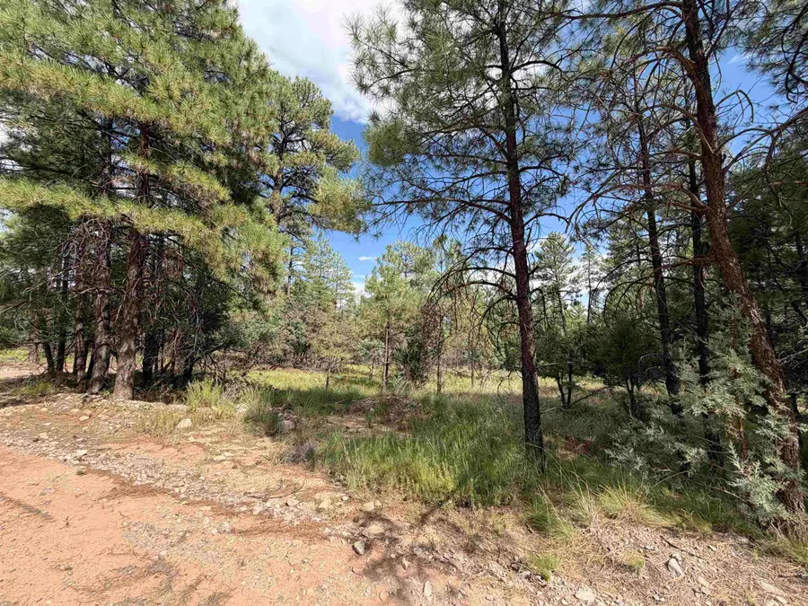 57 Dixwood DR, Timberon, NM 88350 - #2