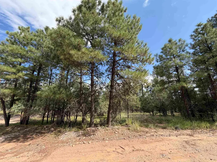 57 Dixwood DR, Timberon, NM 88350 - #3