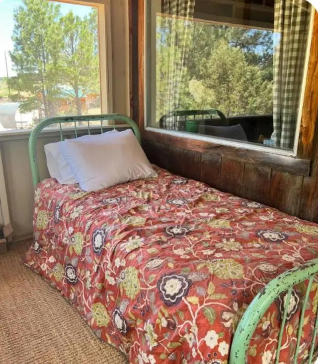 1586 Sacramento Dr, Timberon, NM 88350 - #3