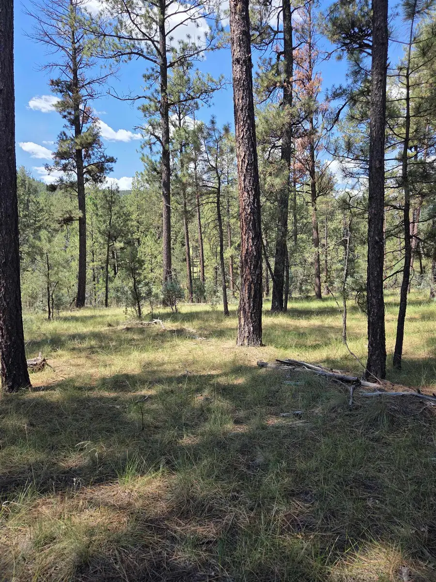 Address Withheld By Seller, Cloudcroft, NM 88317 - #2