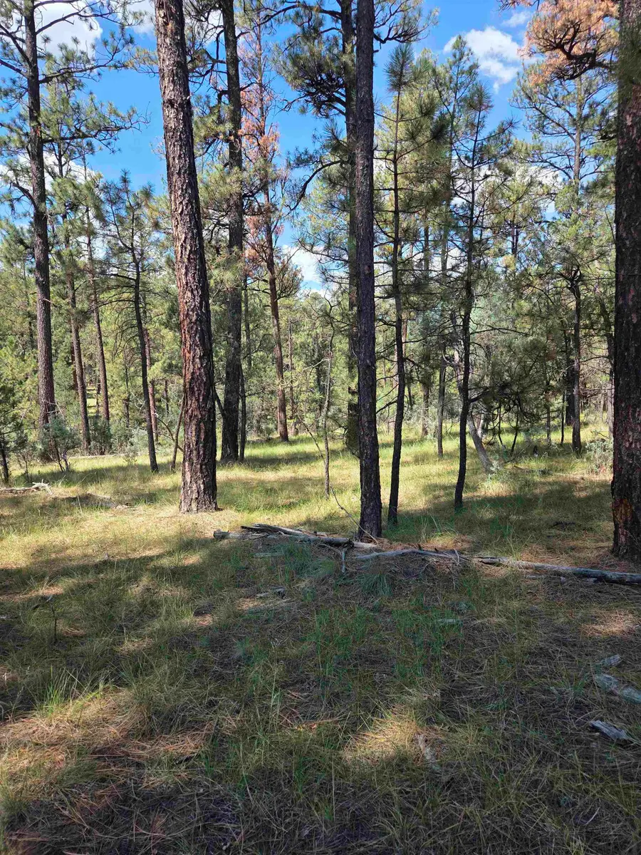 Address Withheld By Seller, Cloudcroft, NM 88317 - #3