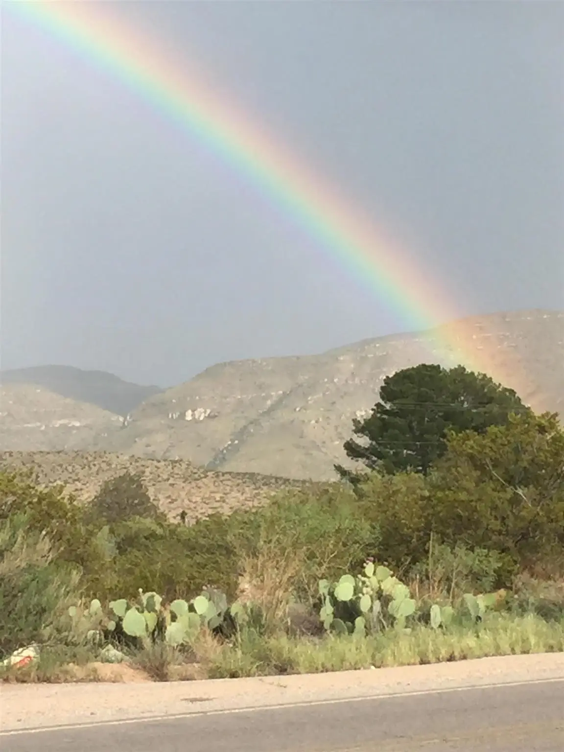Gentle Breeze Ln, Timberon, NM 88350 - #1