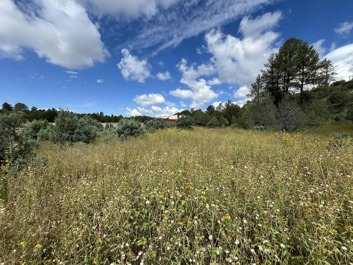 142 Merlin Dr, Timberon, NM 88350 - #1