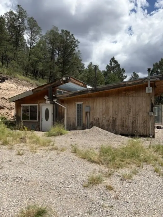29 Ponderosa Dr, Mayhill, NM 88339 - #1