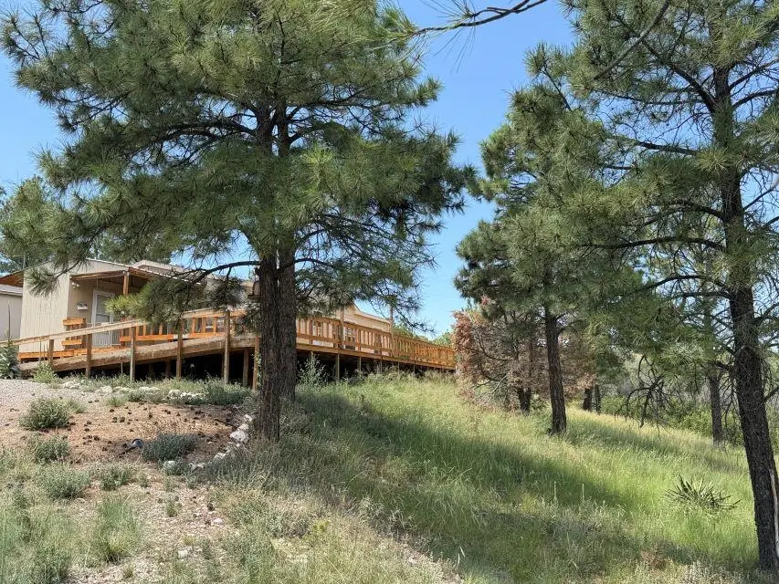 50 Quail Hollow Way, Timberon, NM 88350 - #1