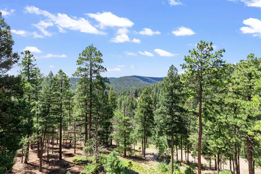 18 Forest View Rd, Cloudcroft, NM 88317 - #3