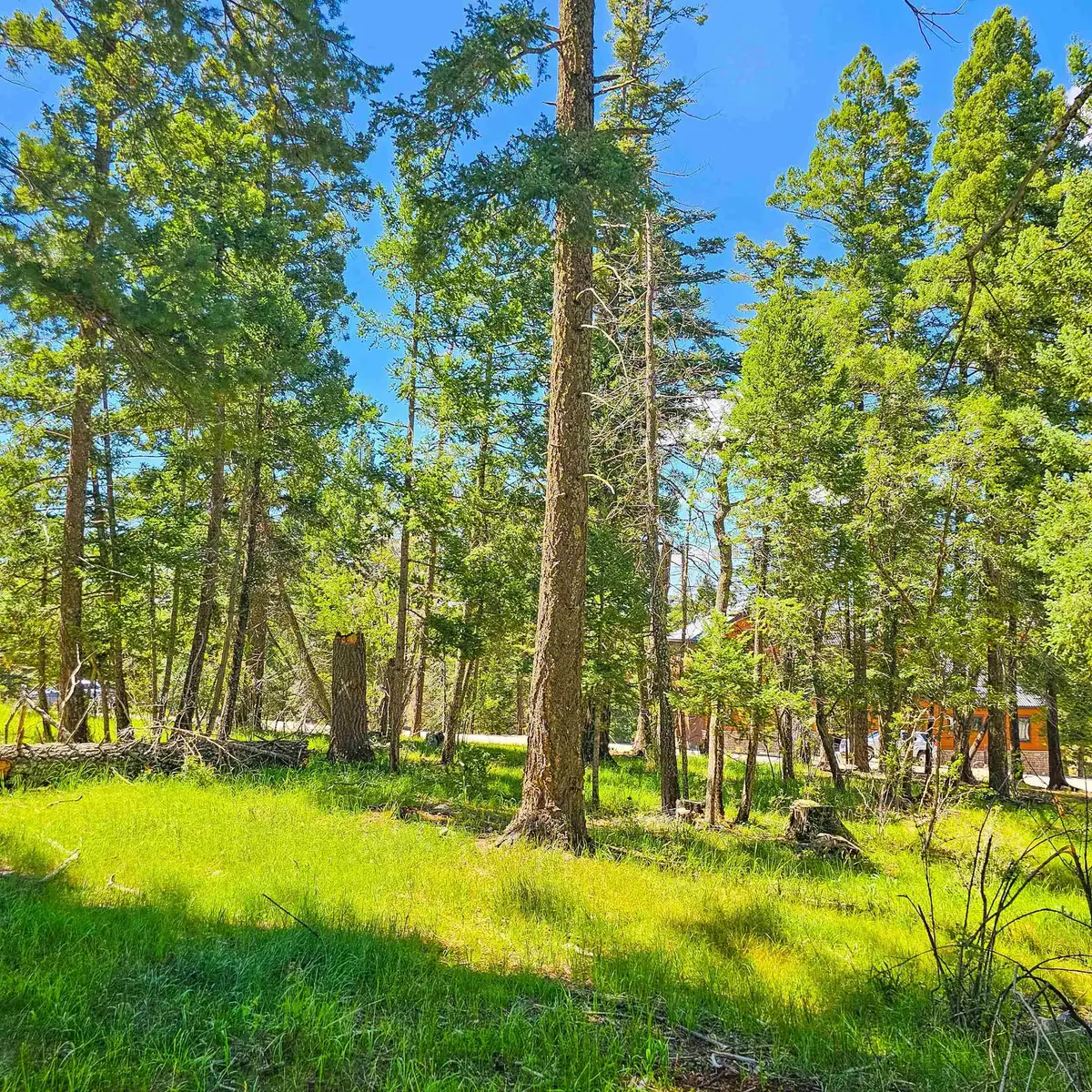 00 Blanca Vista, Cloudcroft, NM 88317-0000 - #1