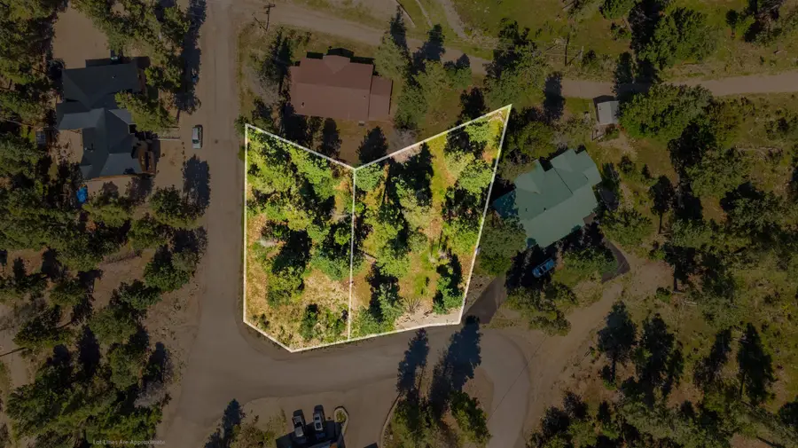 00 Blanca Vista, Cloudcroft, NM 88317-0000 - #2