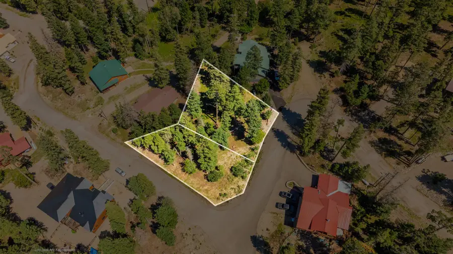 00 Blanca Vista, Cloudcroft, NM 88317-0000 - #3