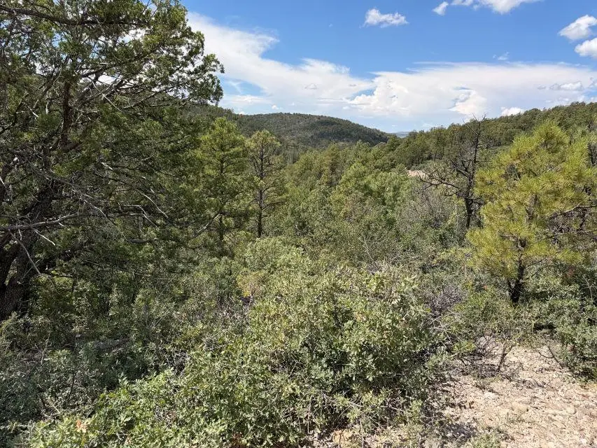 Trinidad Ave, Timberon, NM 88350 - #1