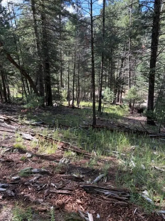 Dry Canyon Rd, Cloudcroft, NM 88317 - #3
