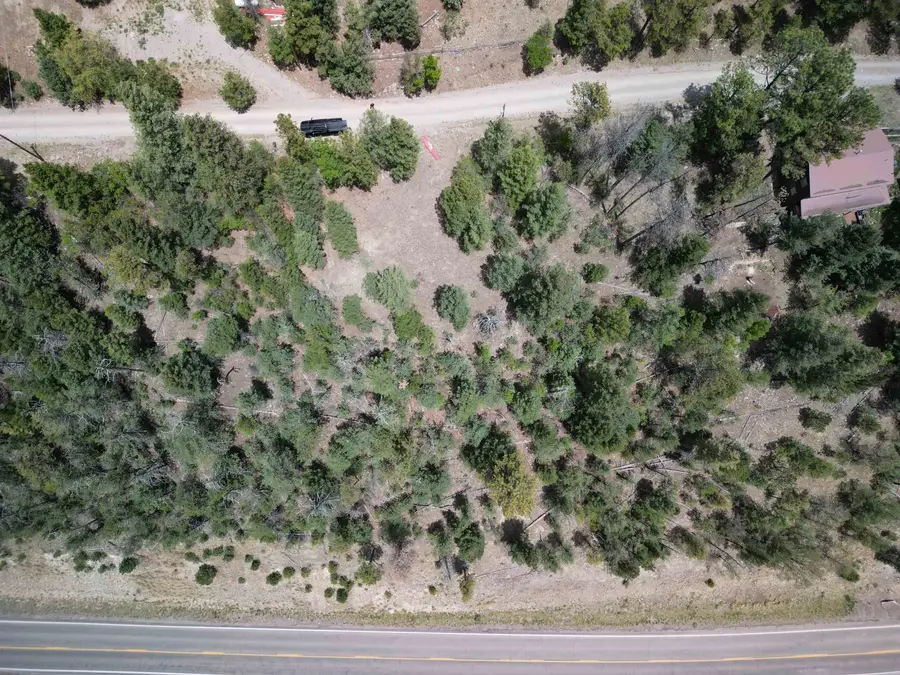 Groesbeeck Rd, Cloudcroft, NM 88317 - #3