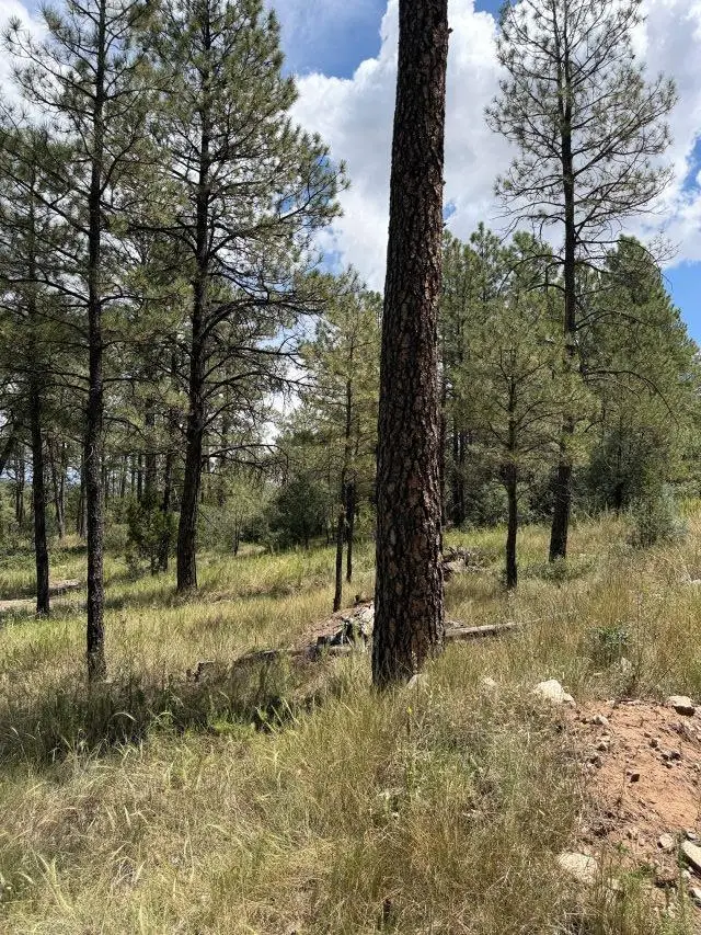 Timber Dr, Timberon, NM 88350 - #2