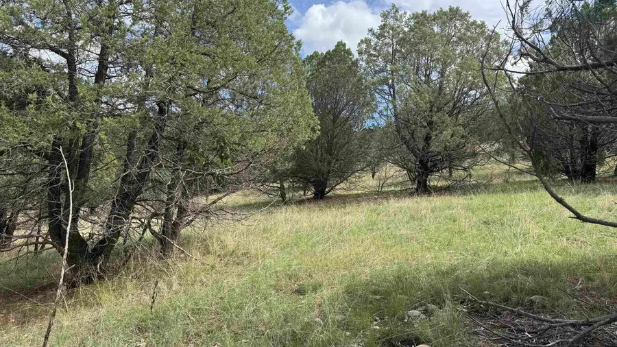 1826B Rio Penasco Rd, Mayhill, NM 88339-0000 - #2
