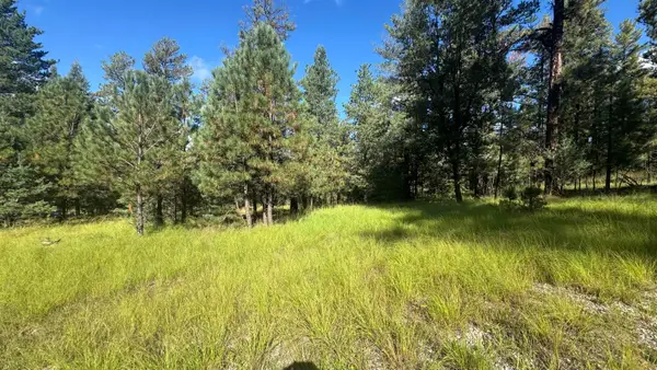 lot 25 White Tail Run, Mayhill, NM 88339-0000