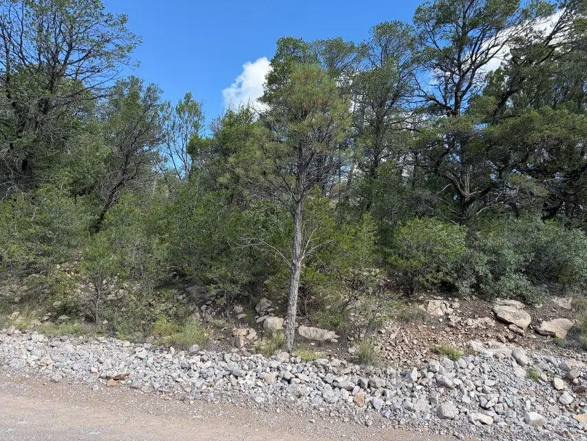 79 Hoover Dr, Timberon, NM 88350 - #1
