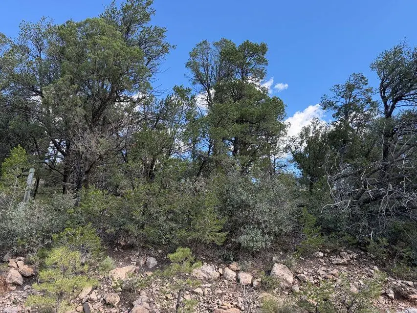 79 Hoover Dr, Timberon, NM 88350 - #2