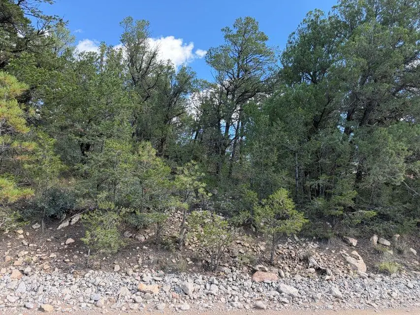 79 Hoover Dr, Timberon, NM 88350 - #3