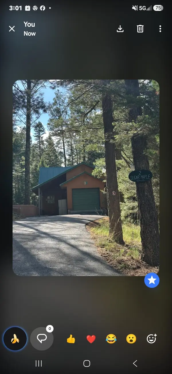 2 Sugar Maple, Cloudcroft, NM 88317-000