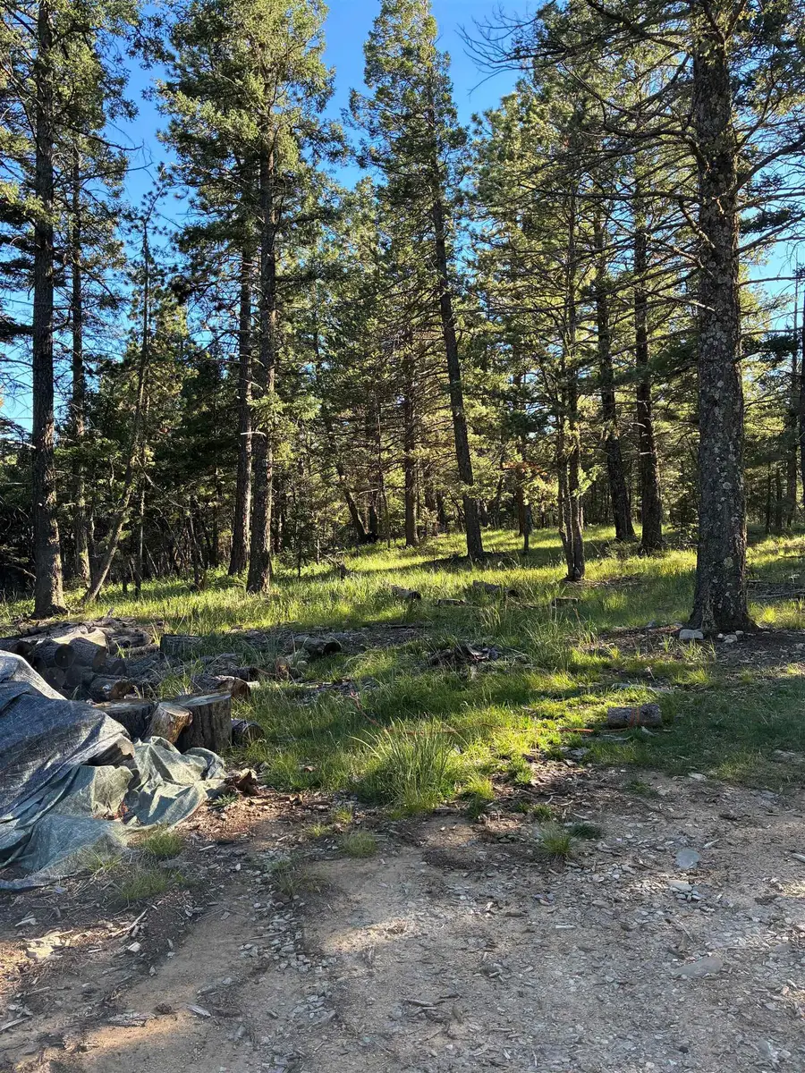99 Lee Cir, Cloudcroft, NM 88317 - #3