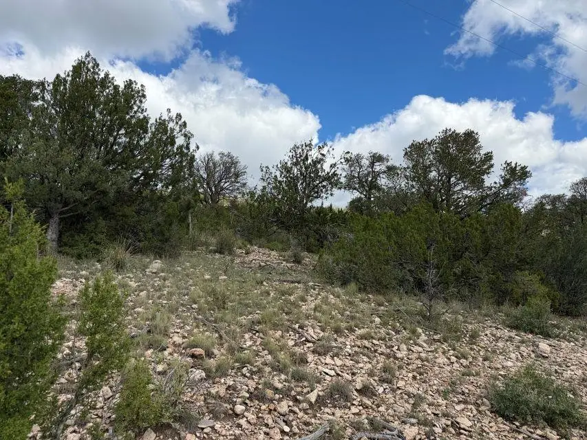 9 Longfellow Ct, Timberon, NM 88350 - #1
