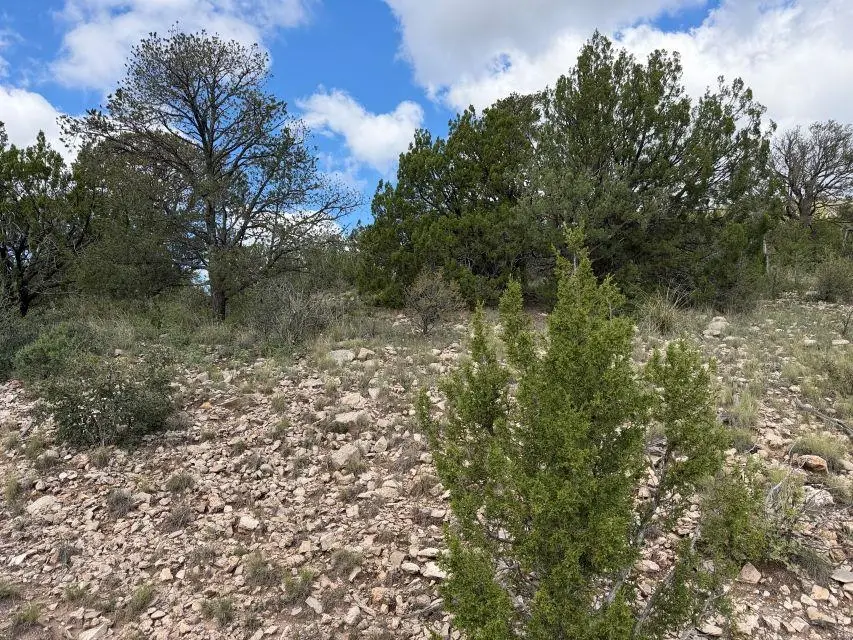 9 Longfellow Ct, Timberon, NM 88350 - #2