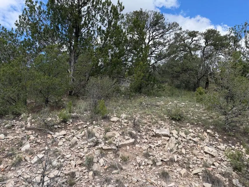 9 Longfellow Ct, Timberon, NM 88350 - #3