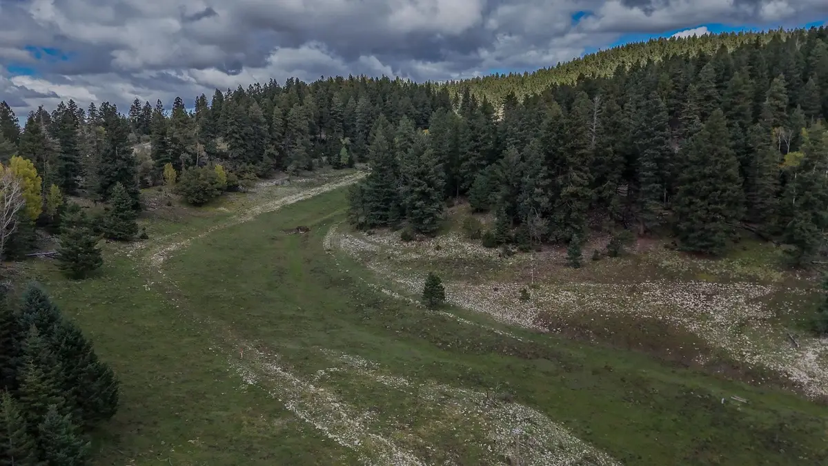 181 Sunspot Hwy, Cloudcroft, NM 88317 - #1