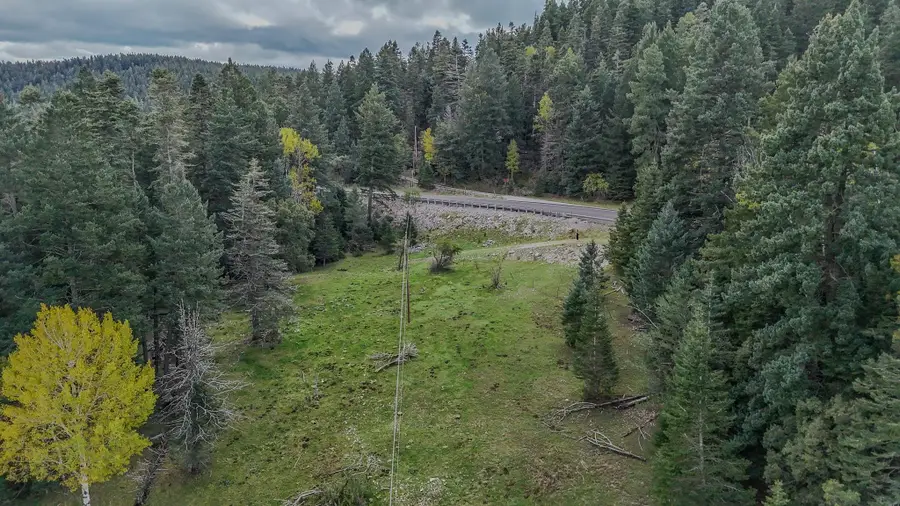181 Sunspot Hwy, Cloudcroft, NM 88317 - #2