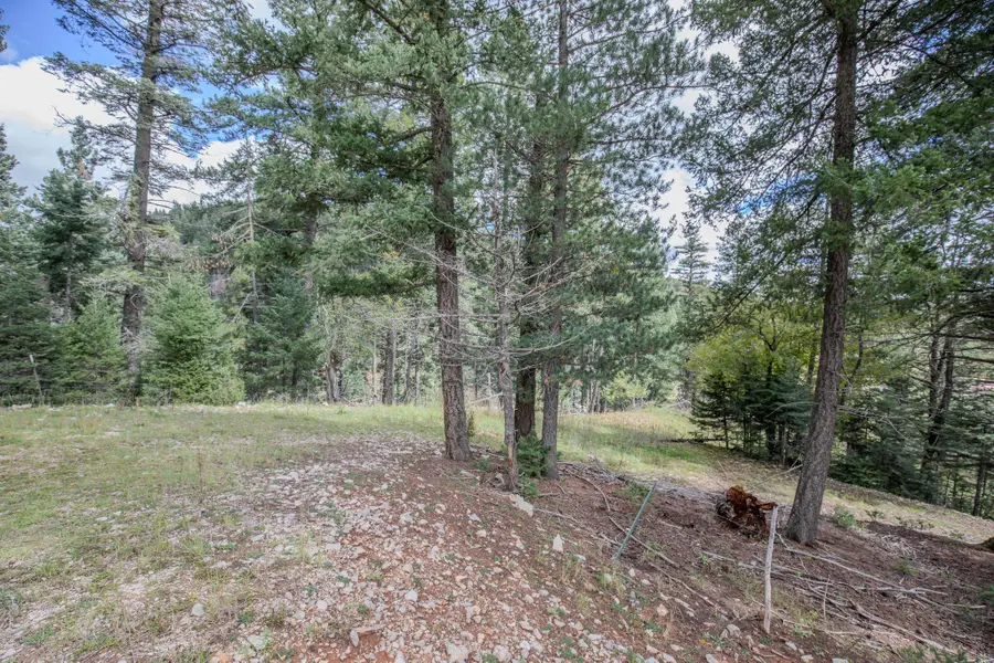 00 Sunspot Hwy, Cloudcroft, NM 88317 - #2