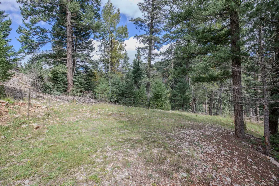 00 Sunspot Hwy, Cloudcroft, NM 88317 - #3