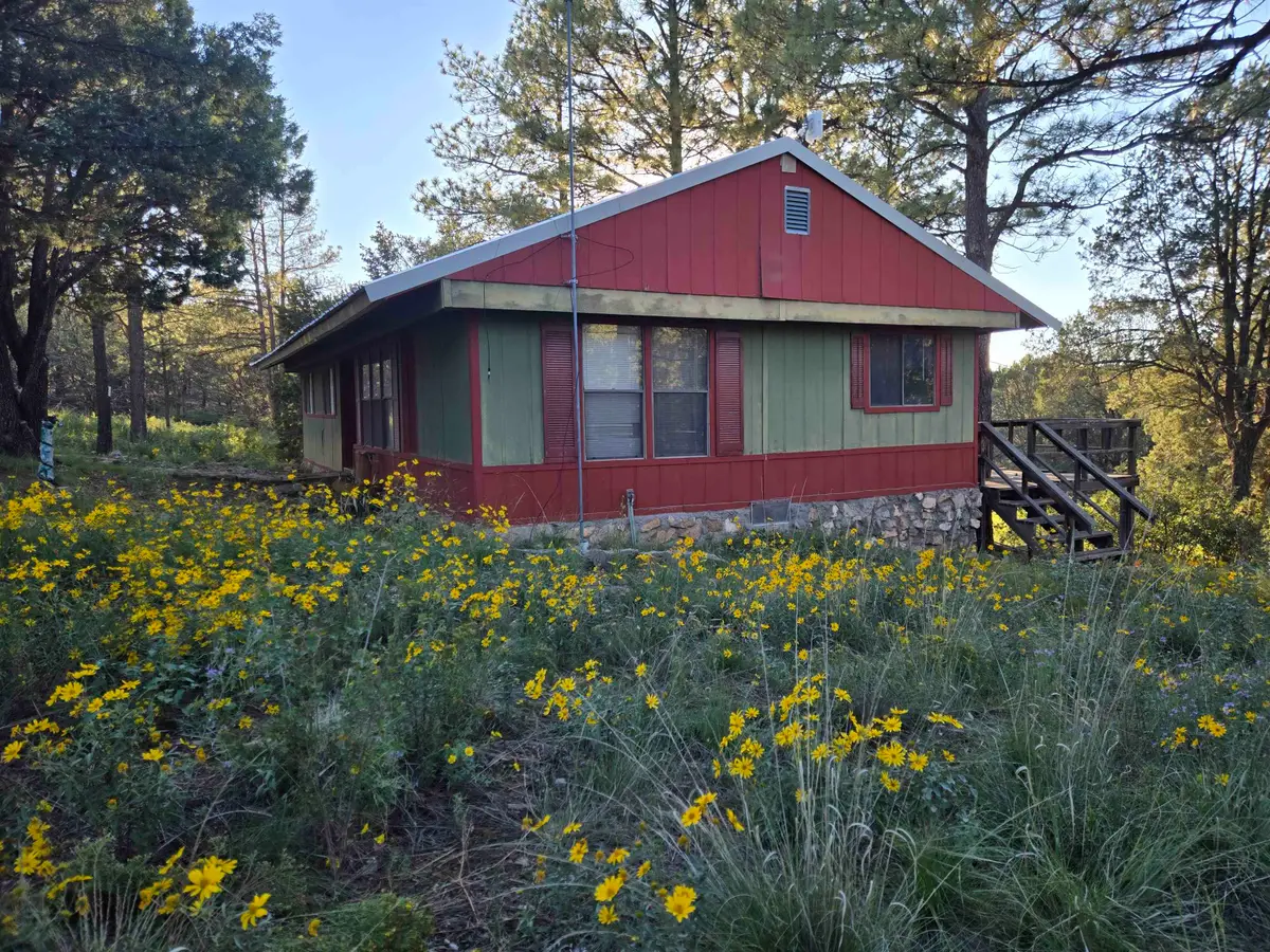 150 Bronco DR, Timberon, NM 88350 - #1